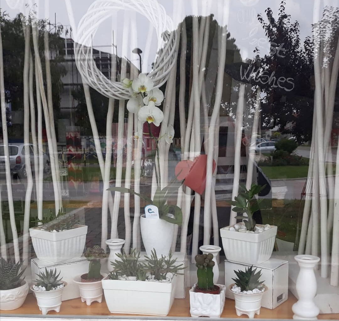 Cvećara Andjela -Iskra