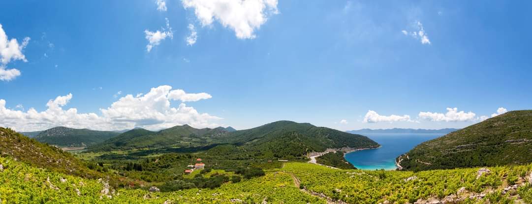 Winery "Mili" Family Rozic