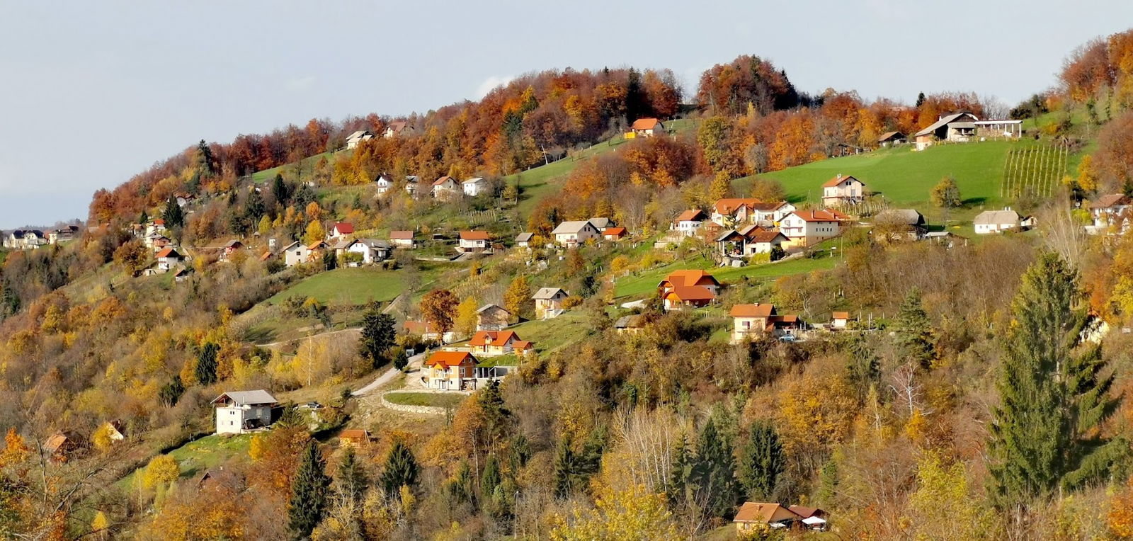 Zavod Levstikova pot