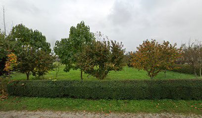 DPD Pickup parcelshop