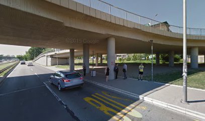 Beogradska arena /španskih boraca/