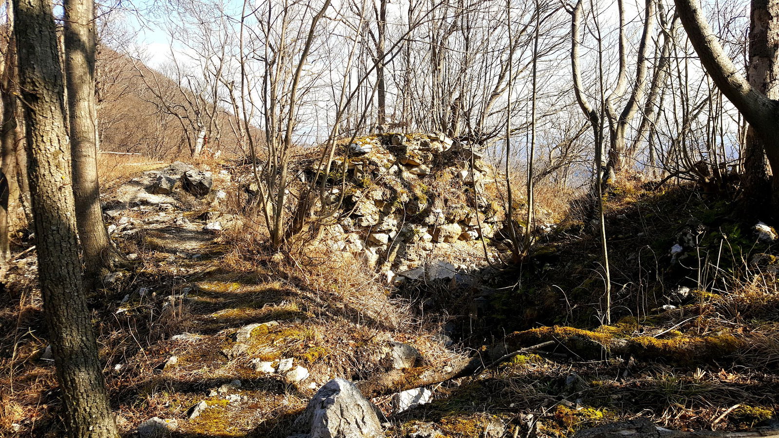 Židovina - ruševine