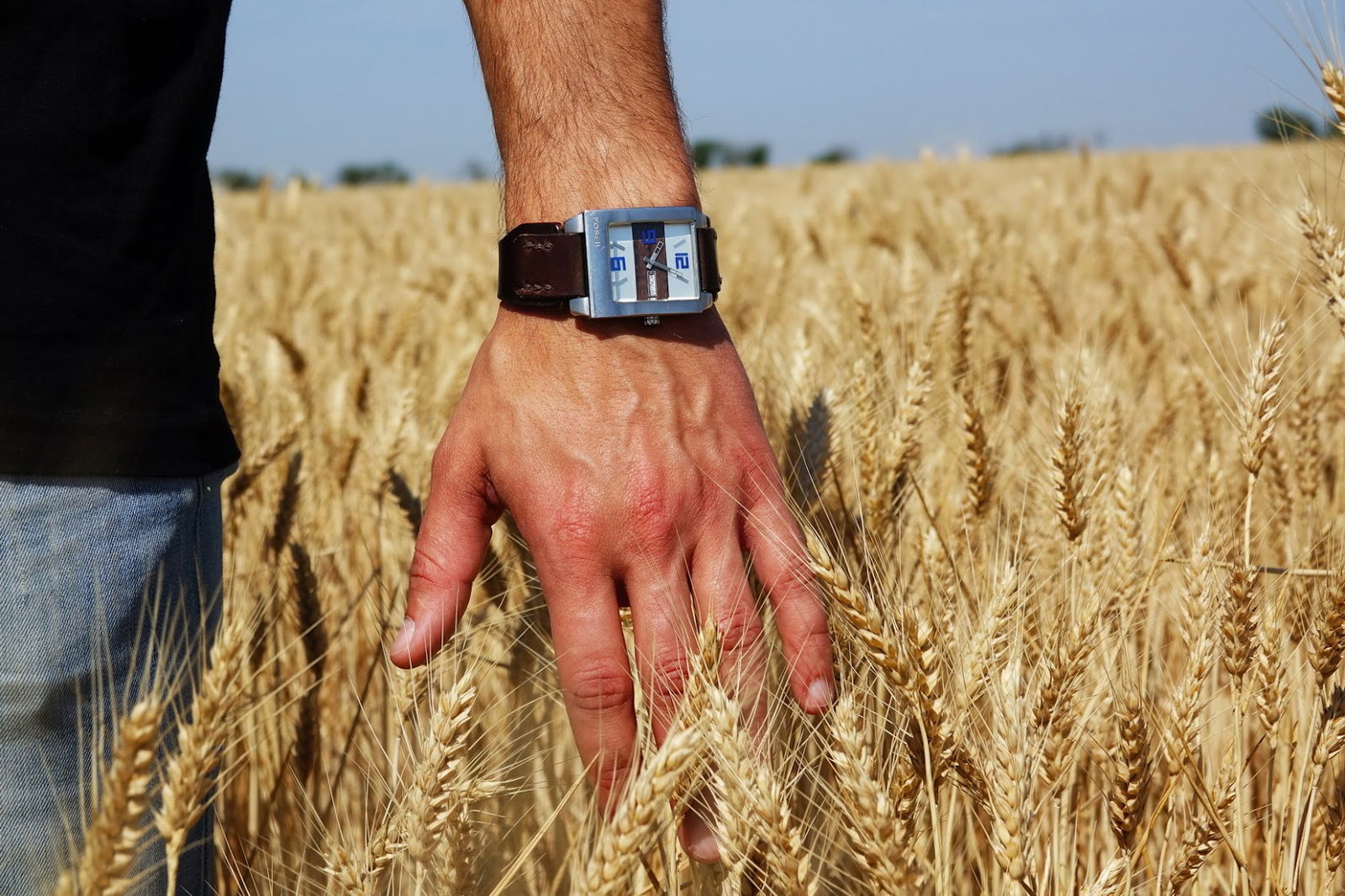 Alba Ag, Obrt za stručne, znanstvene i tehničke djelatnosti