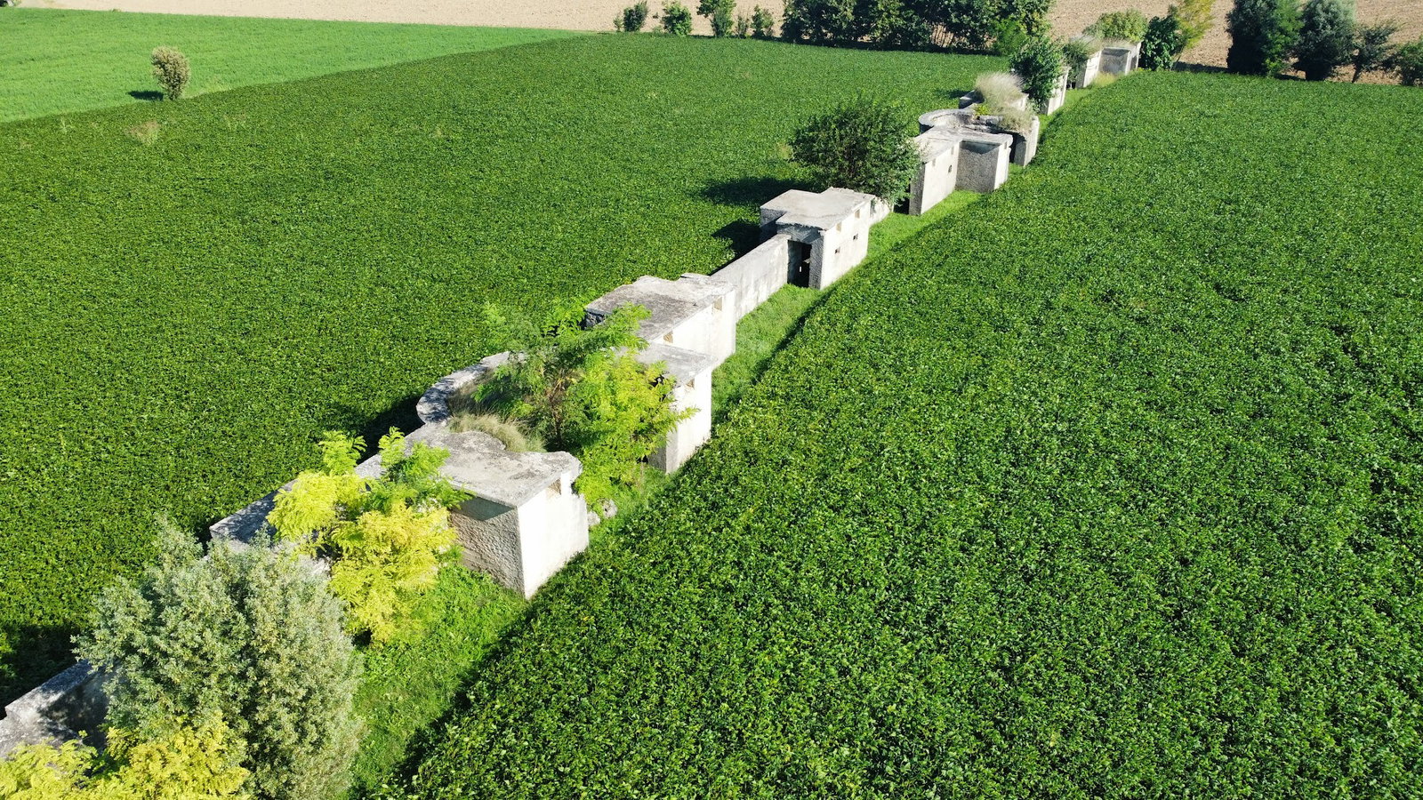 Resti di linea difensiva della guerra del 15/18