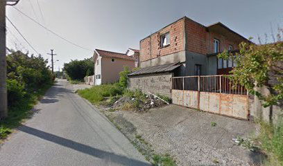 Carpet Service Andrić