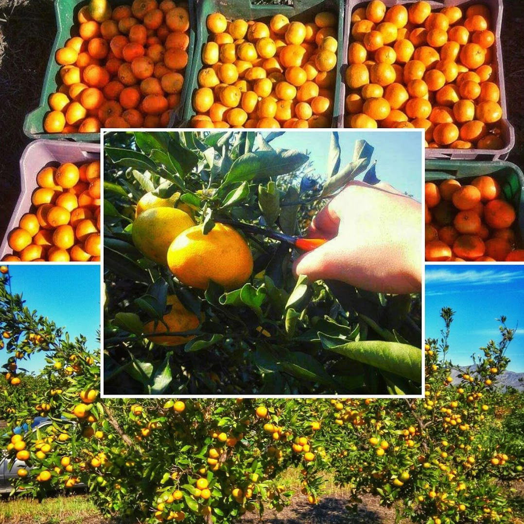 Svijet Agruma Neretve