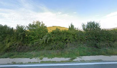 Balina Glavica - Municipium Magnum - Sinodium