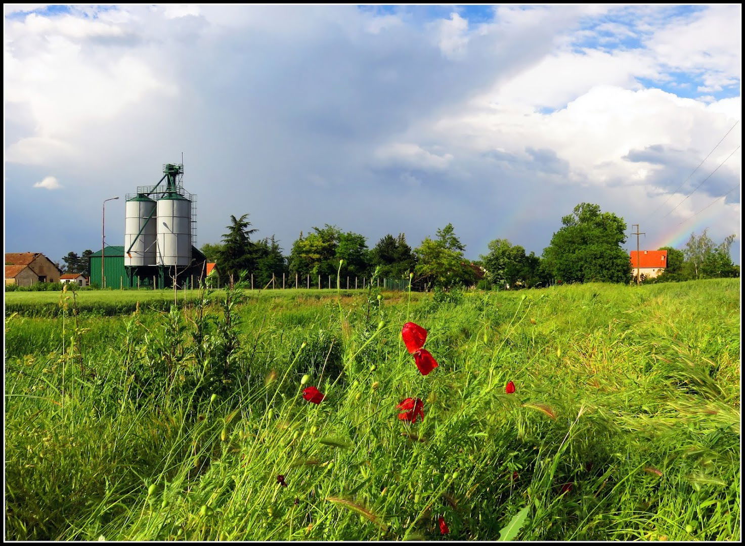Silosi Ličanin-agrar