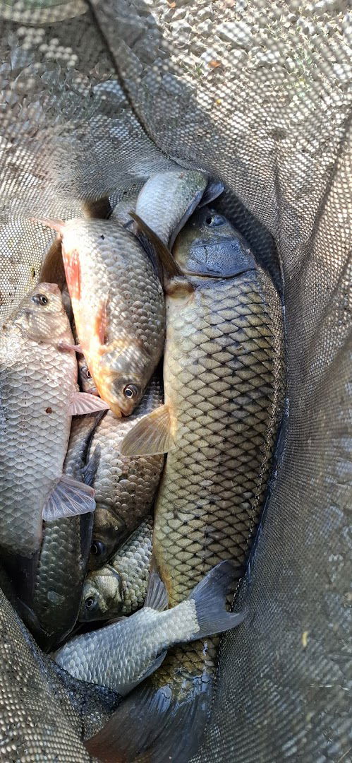 Etno ribnjak"Raj Prirode"