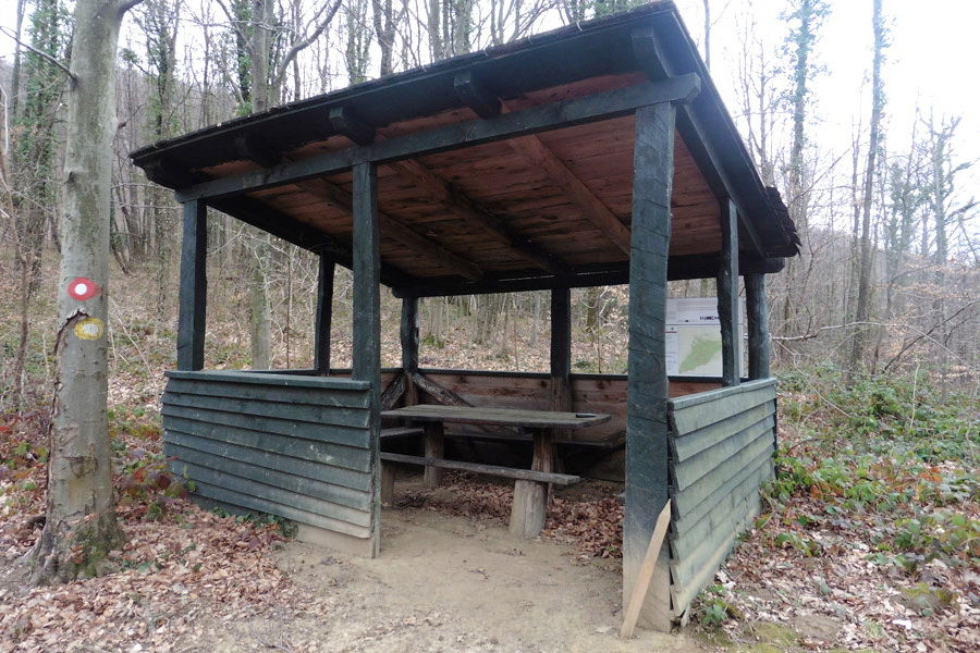 Planina Gornja (Šokot)