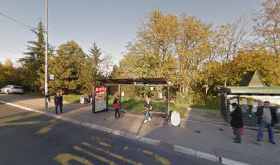 Serdar Janka Vukotića