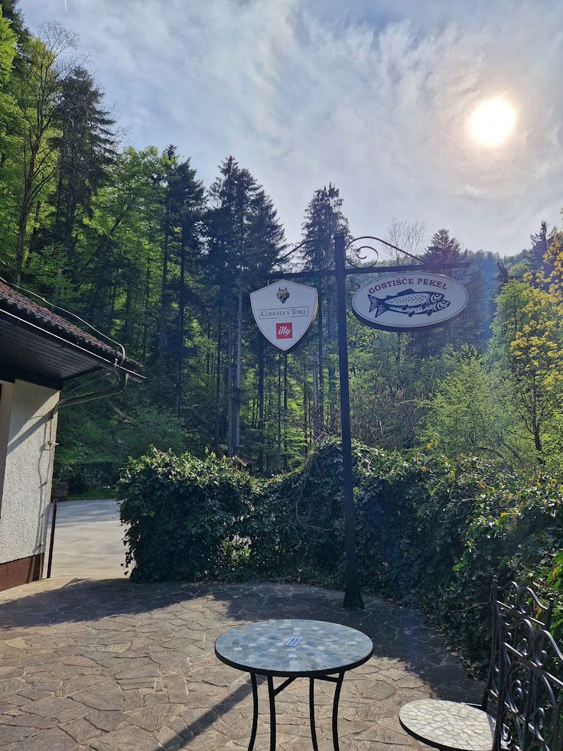 Pekel gostinstvo, turizem in trgovina, d.o.o., Borovnica