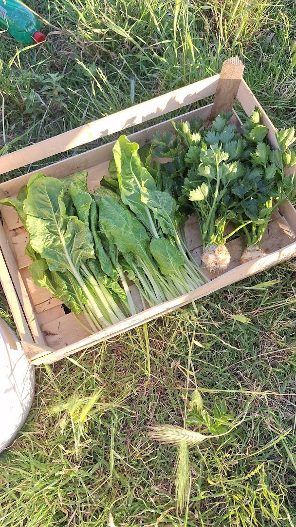 Opg Striga vl. Marija Striguljica