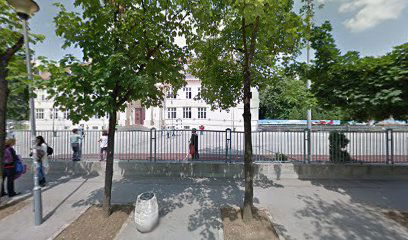 Institut za strane jezike - OŠ ,,Svetozar Miletić"