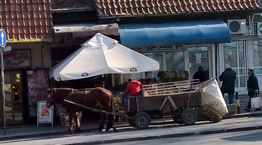 Pijaca Kod Nove Okretnice