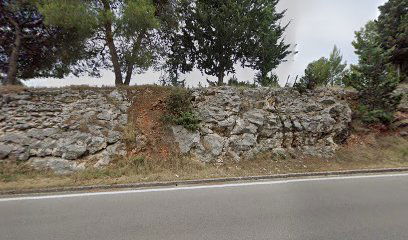 Konjički klub Medena "Konj moj prijatelj"