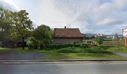 PRUŽANJE AUTOMEHANIČARSKIH USLUGA AUTO SERVIS - PAVIĆ, VL. DRAGUTIN PAVIĆ