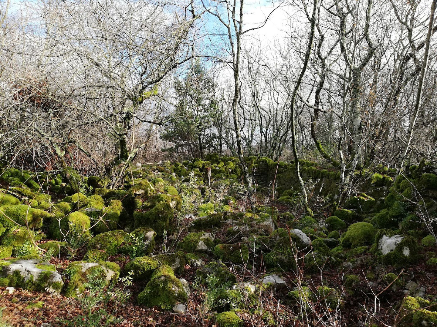 Church of St. Andrew (remains)