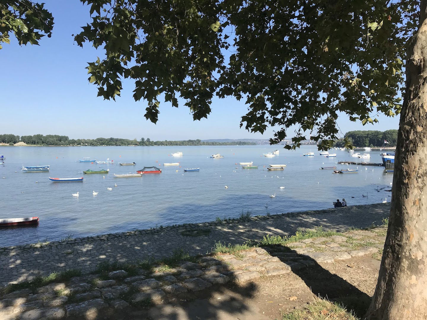 Lastina autobuska stanica - Zemun