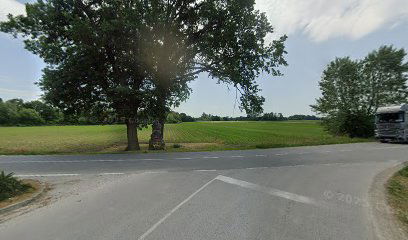 Pil sv. Ivana Nepomuka