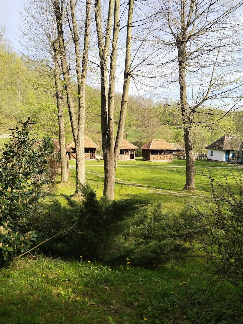 Вајат Љубе Ненадовића