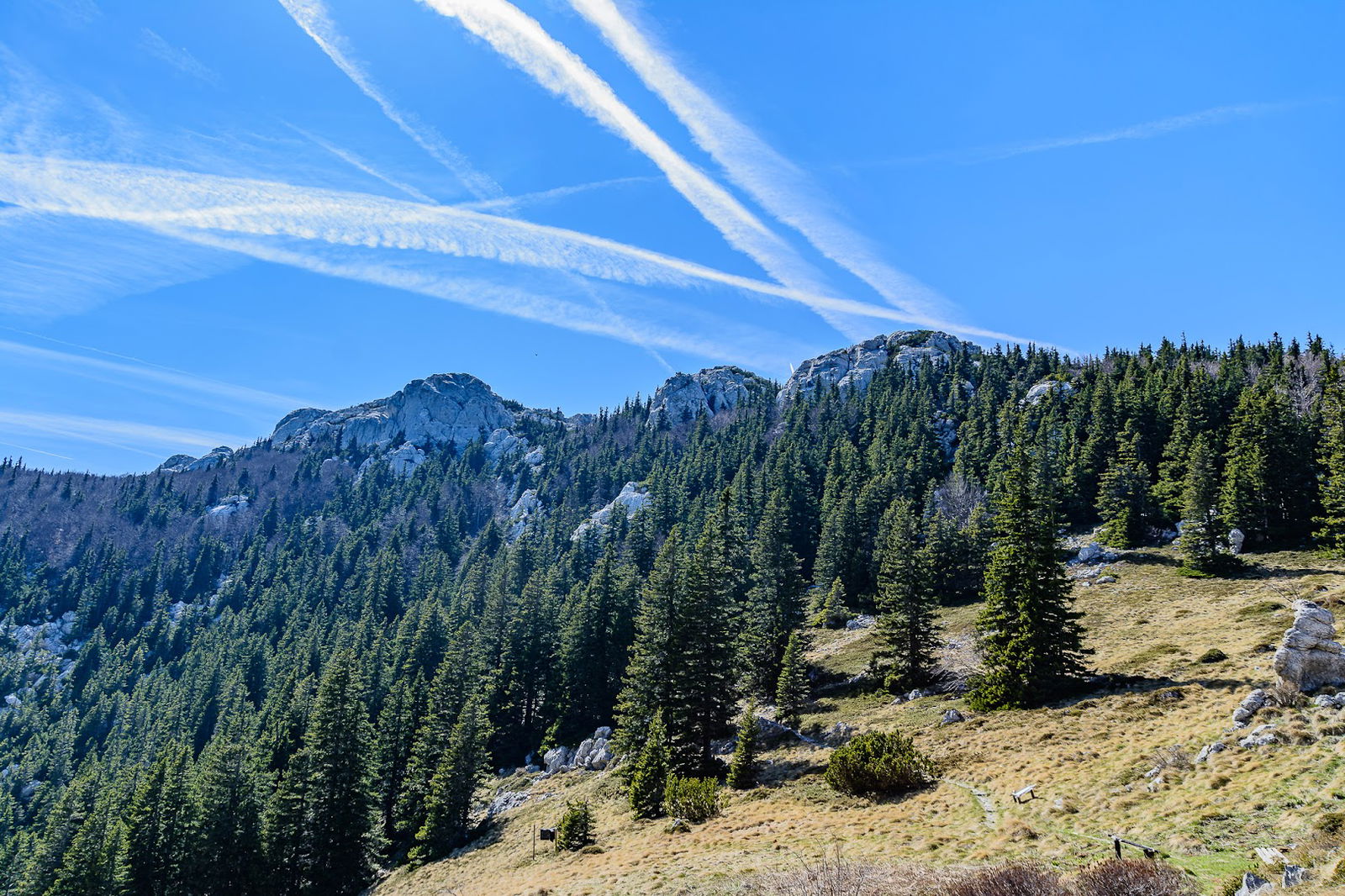 Velebitski botanički vrt