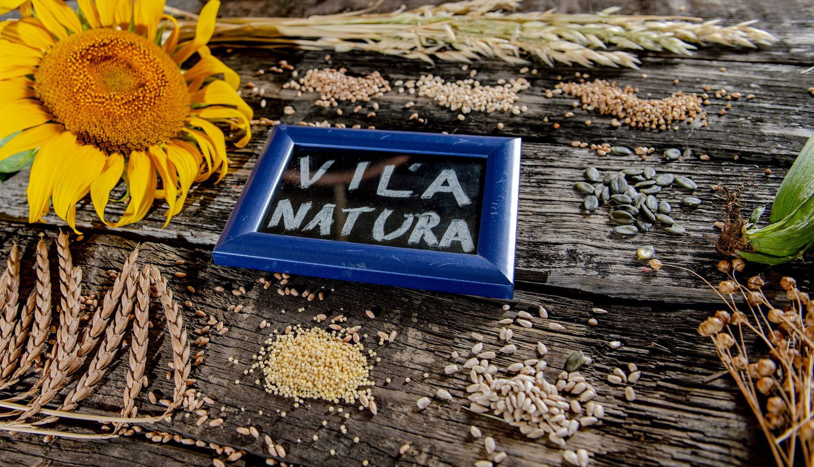 Vila Natura