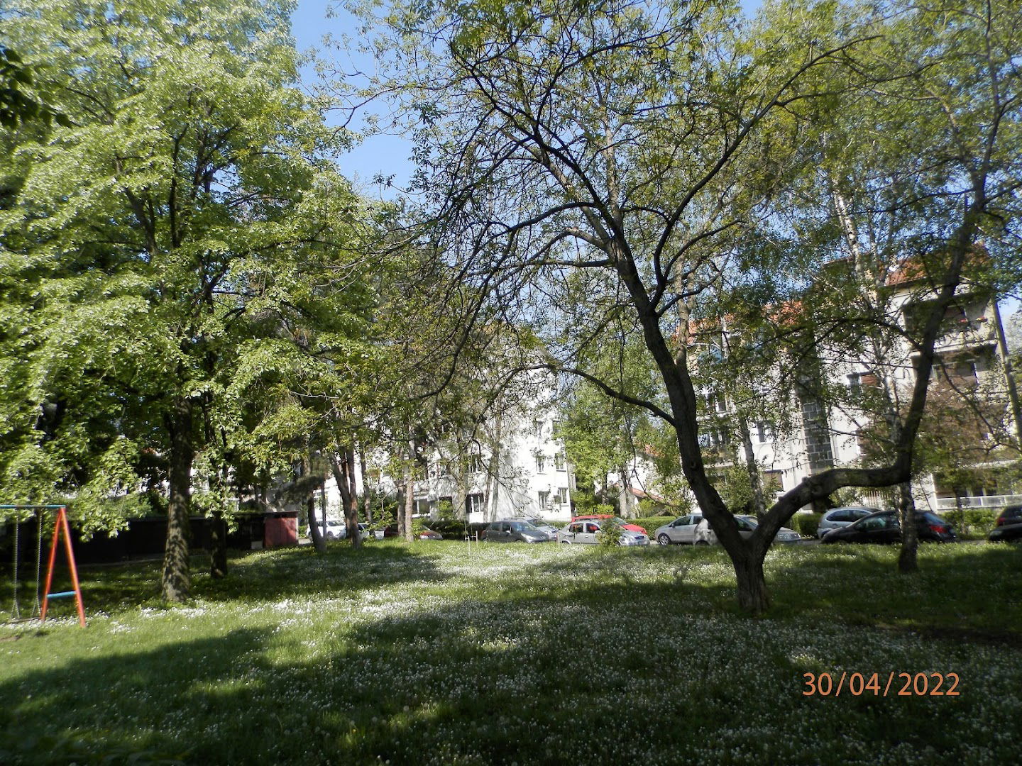 Pavla Jurišić Park