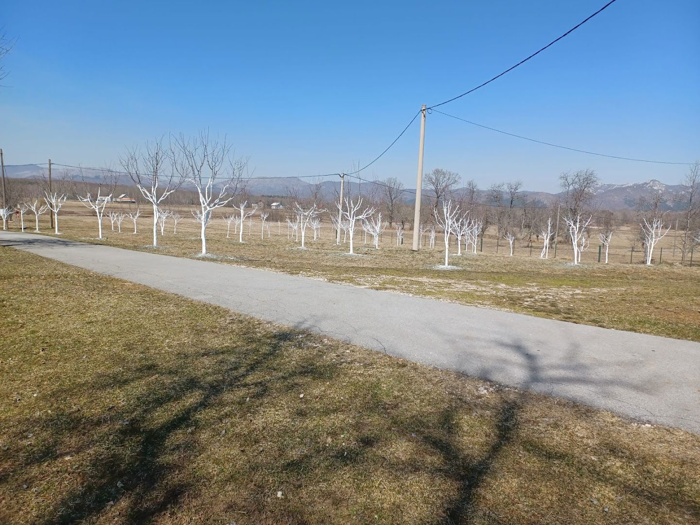 Holiday house Rukavina