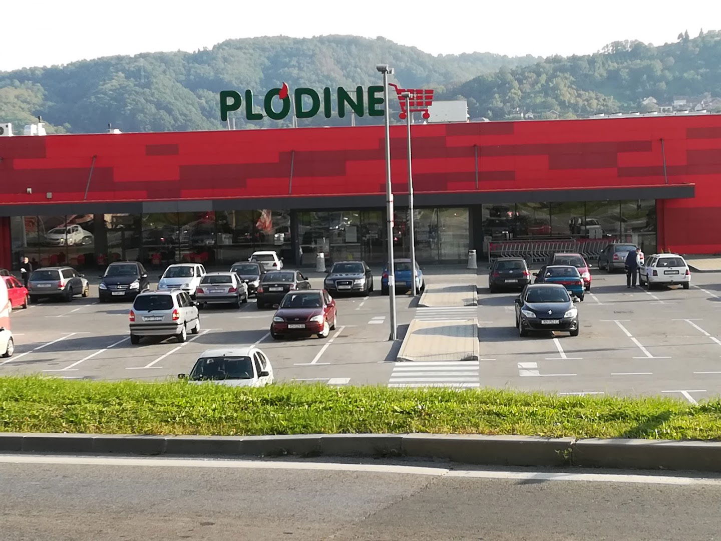 Plodine