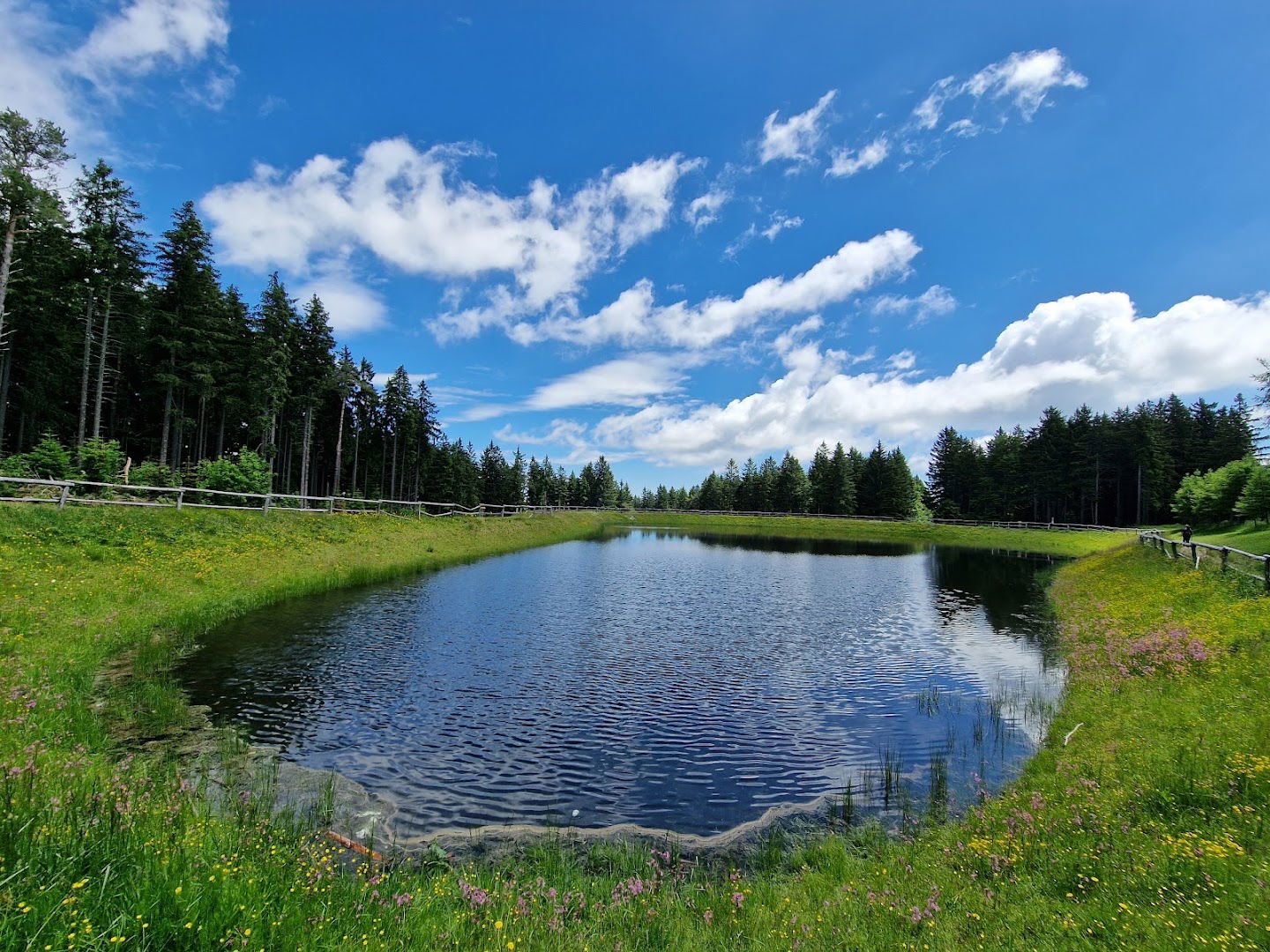 Ruse - Areh DiscGolfPark