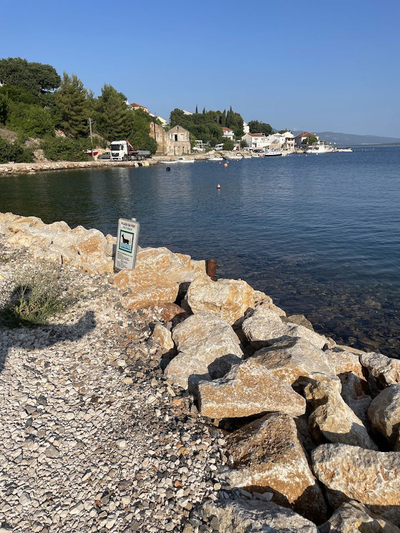 Dog beach / Plaža za pse