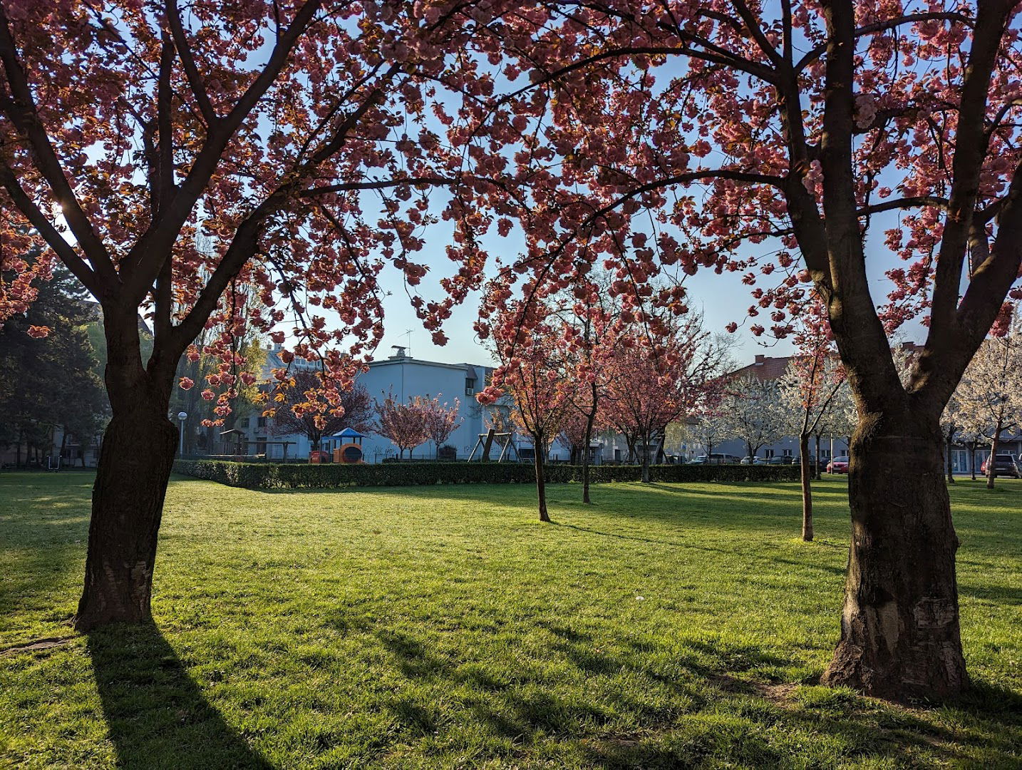 Park Stara Trešnjevka