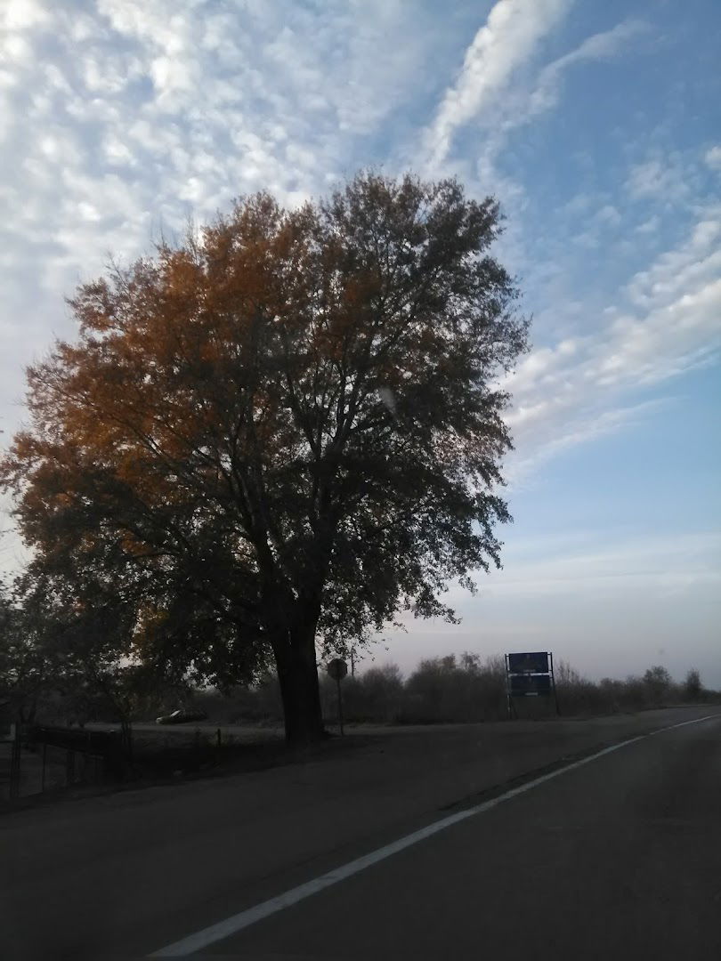 BELGRAVIA DOO MAGACIN