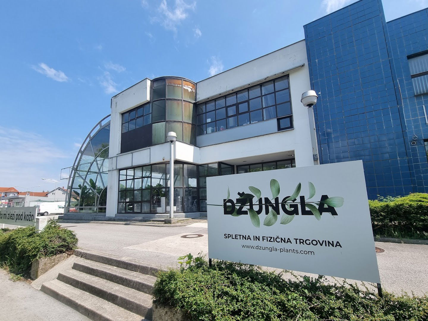 Džungla Plants