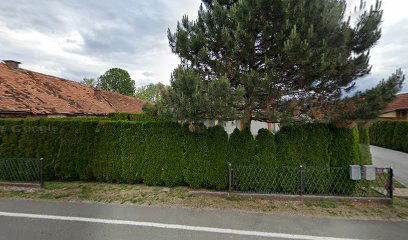 IT storitve in svetovanje, Dušan Novak s.p.