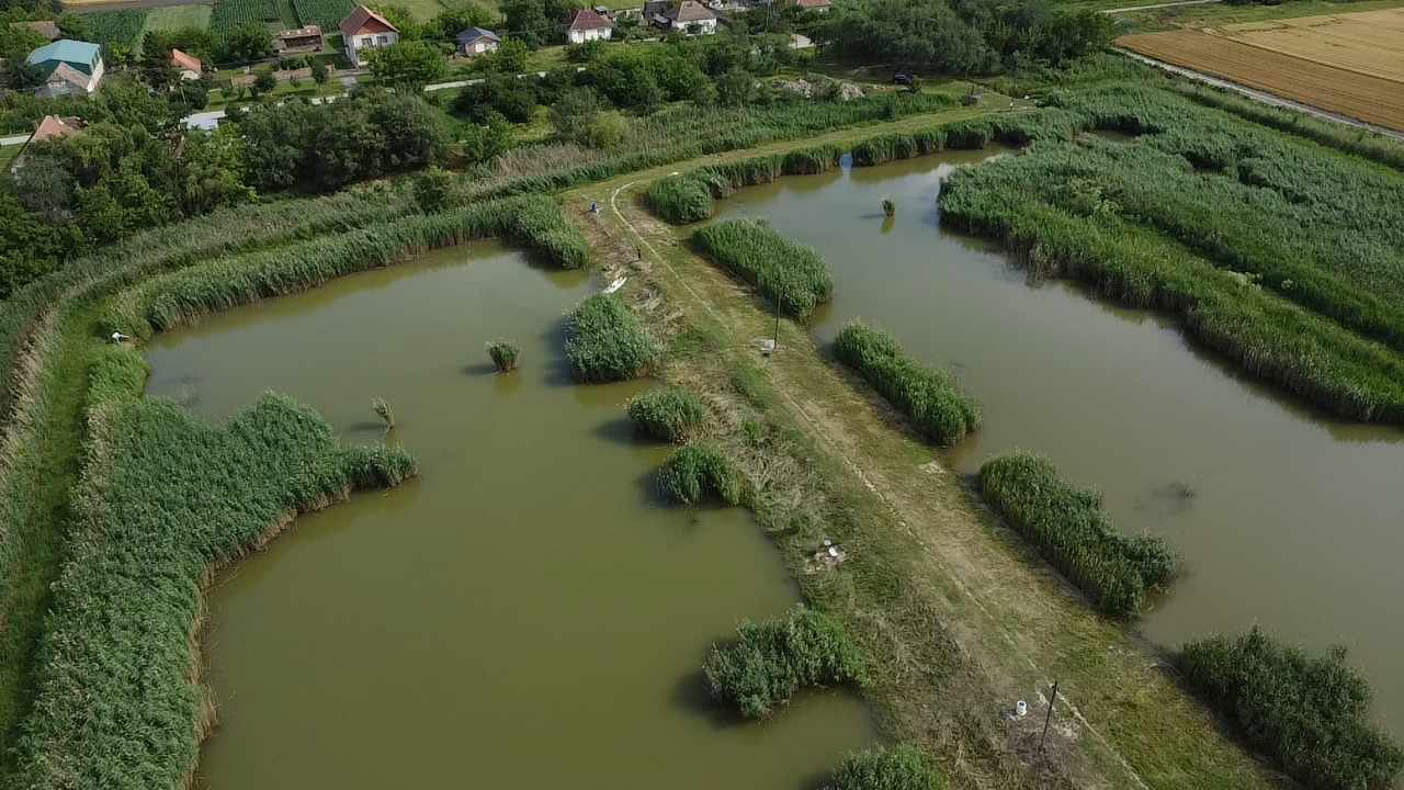Језеро „Шаран” Равни Тополовац