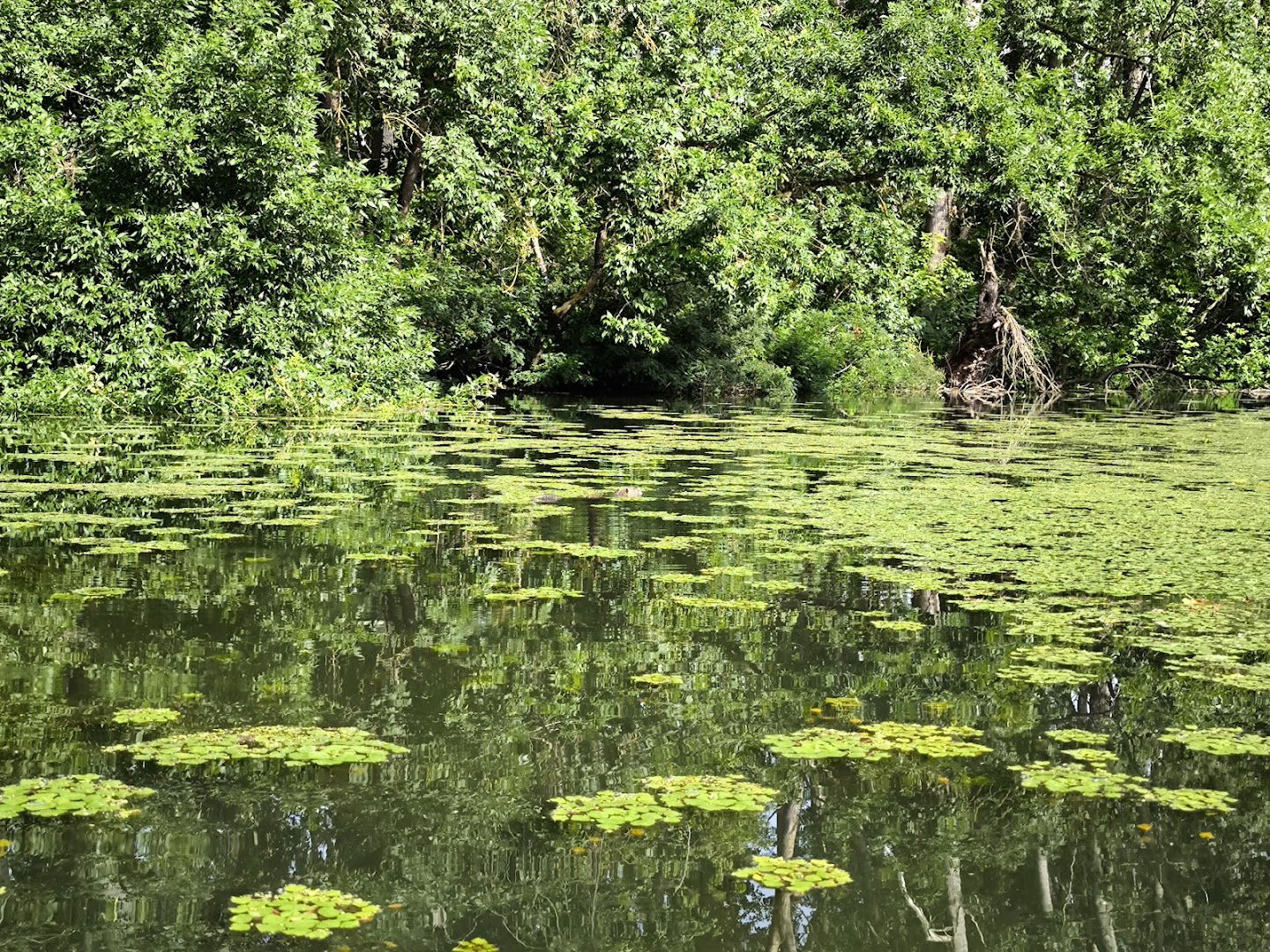 Jezero Okrugli Šveb