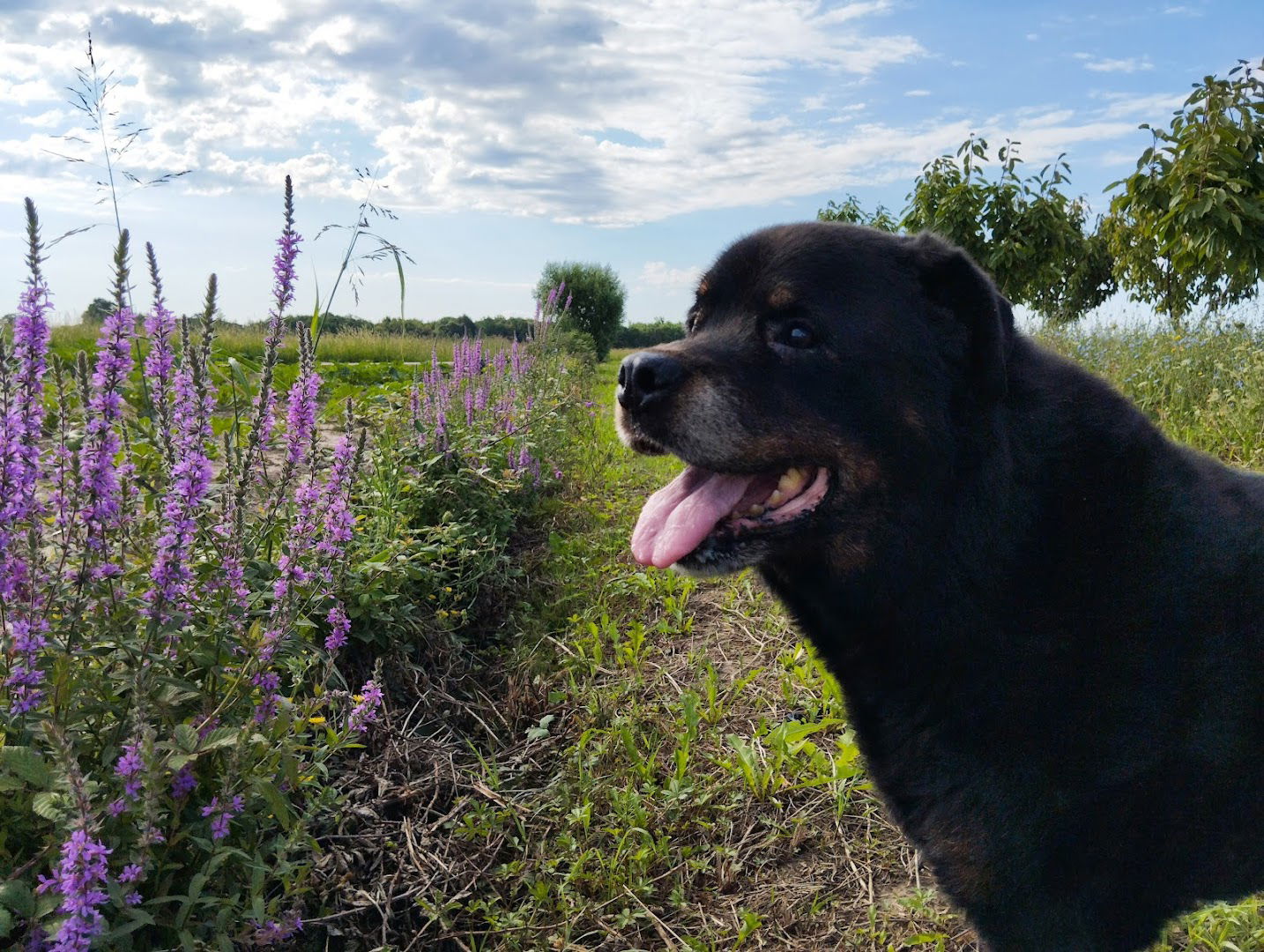 Azienda Agricola el Riccio