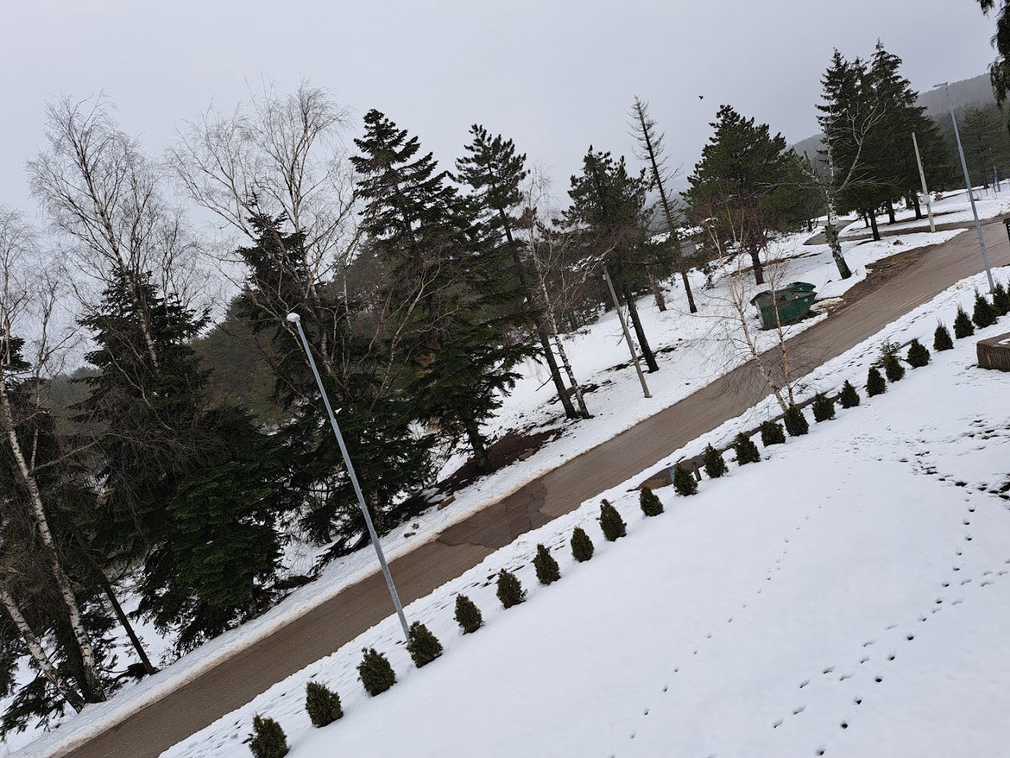 Centar Dečjih Letovališta Beograd