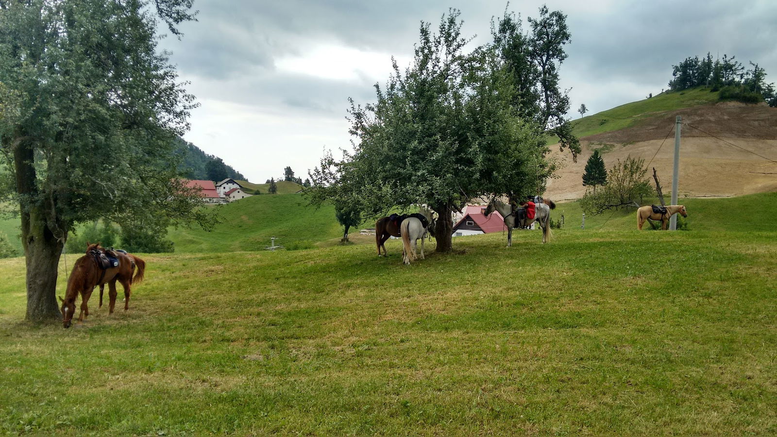 Kmetija na Krnicah, Janez Lapanje - Nosilec dopolnilne dejavnosti na kmetiji