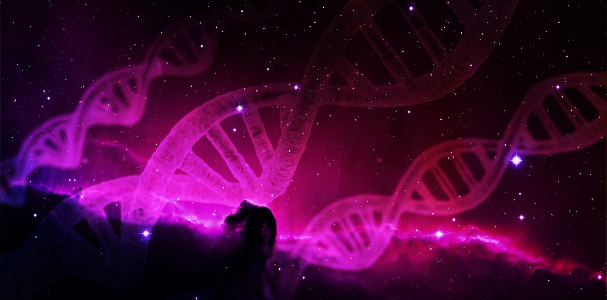 Theta Healing Beograd Srbija / Ljiljana Perunović