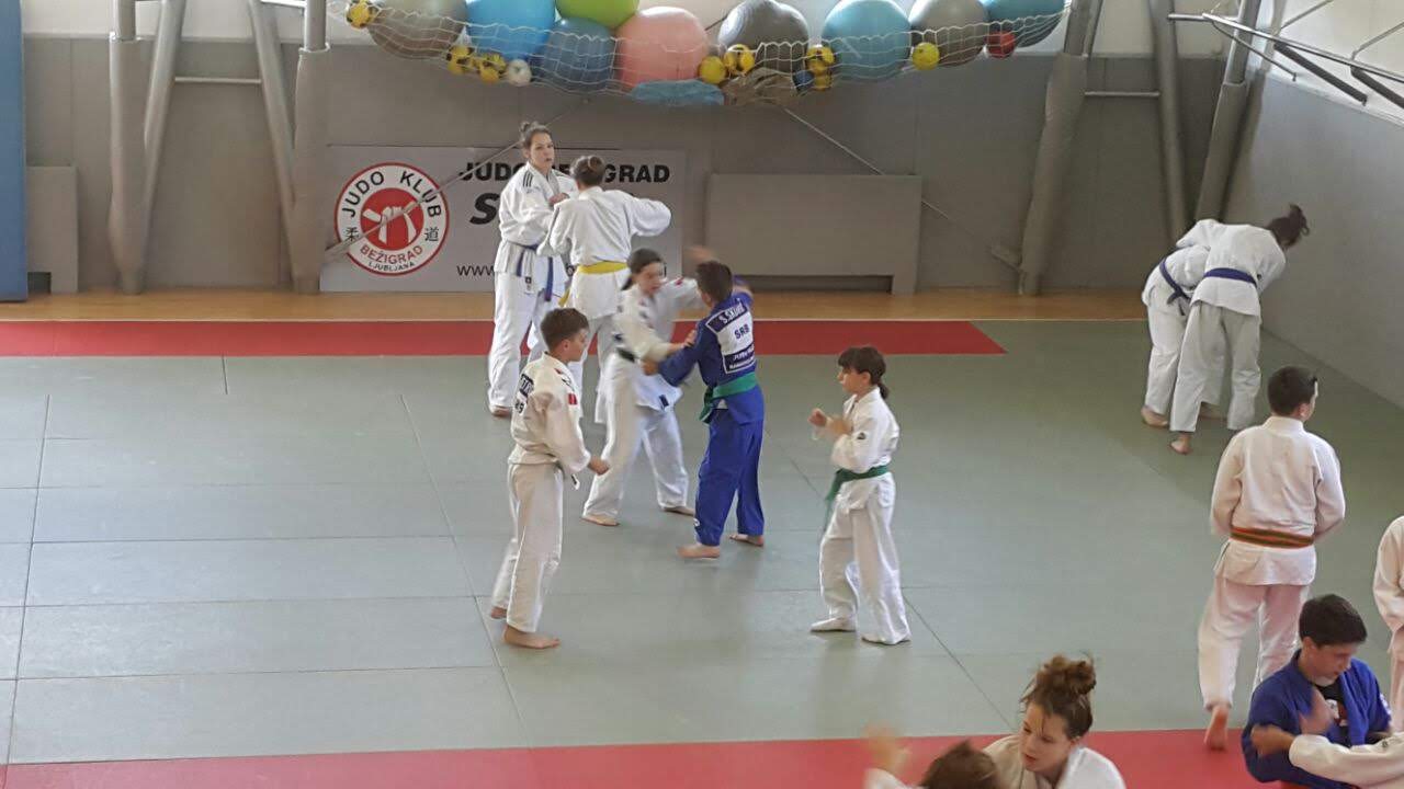 Judo klub Bežigrad