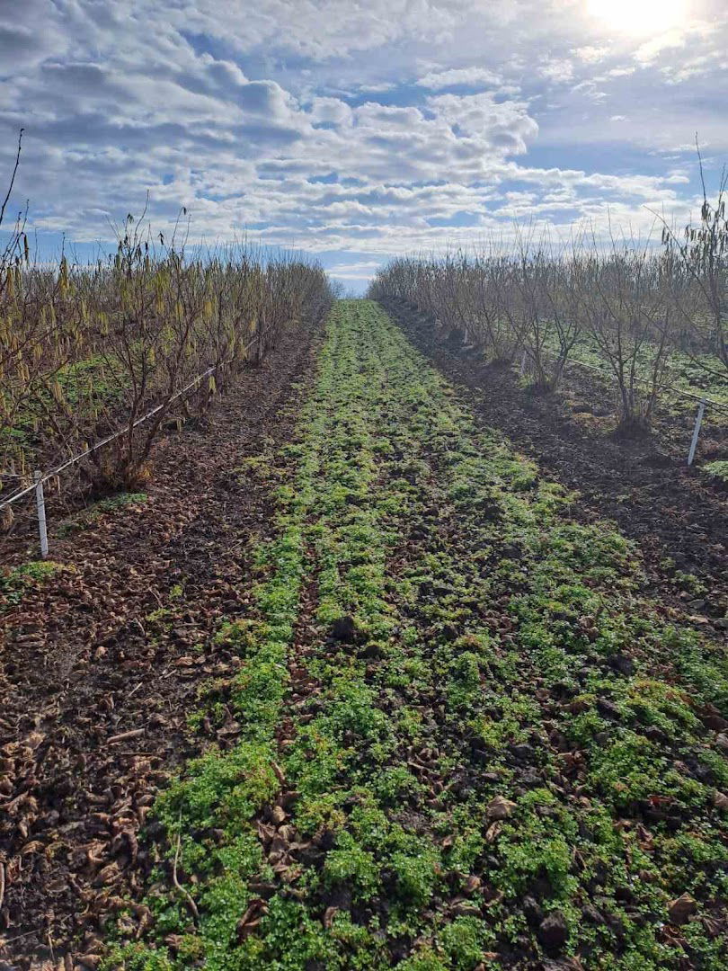 Poljoprivredno gazdinstvo RADIN CENTAR