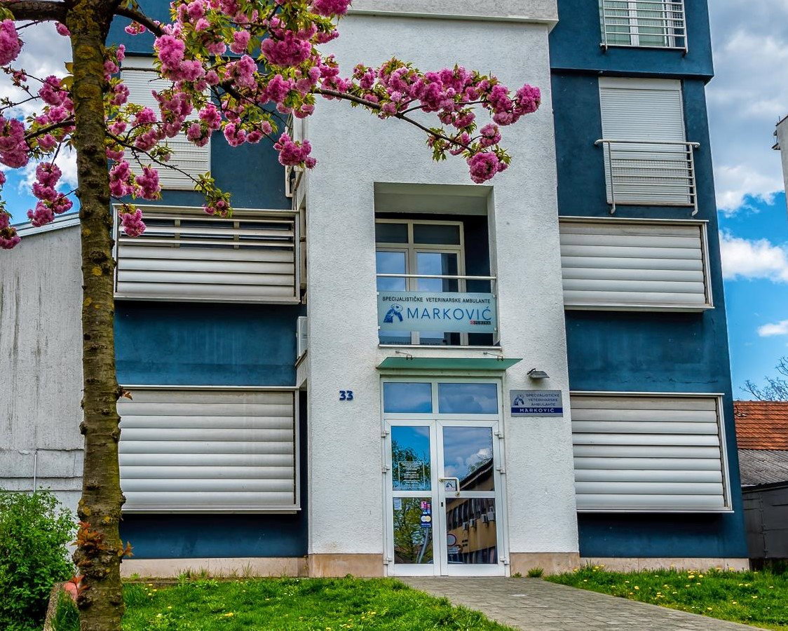 Specijalističke veterinarske ambulante Marković