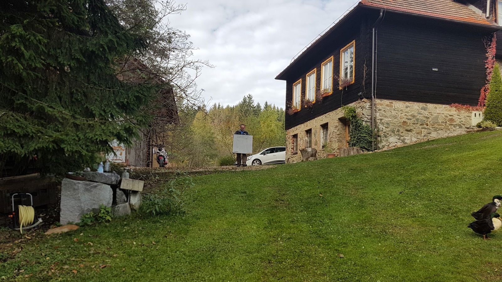 Enej cenitve in nadzor Miroslav Petrič s.p.