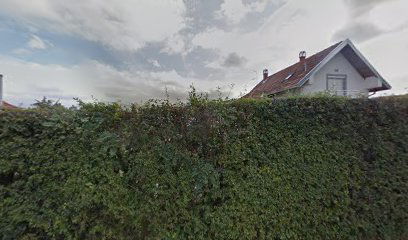 Modis Security System