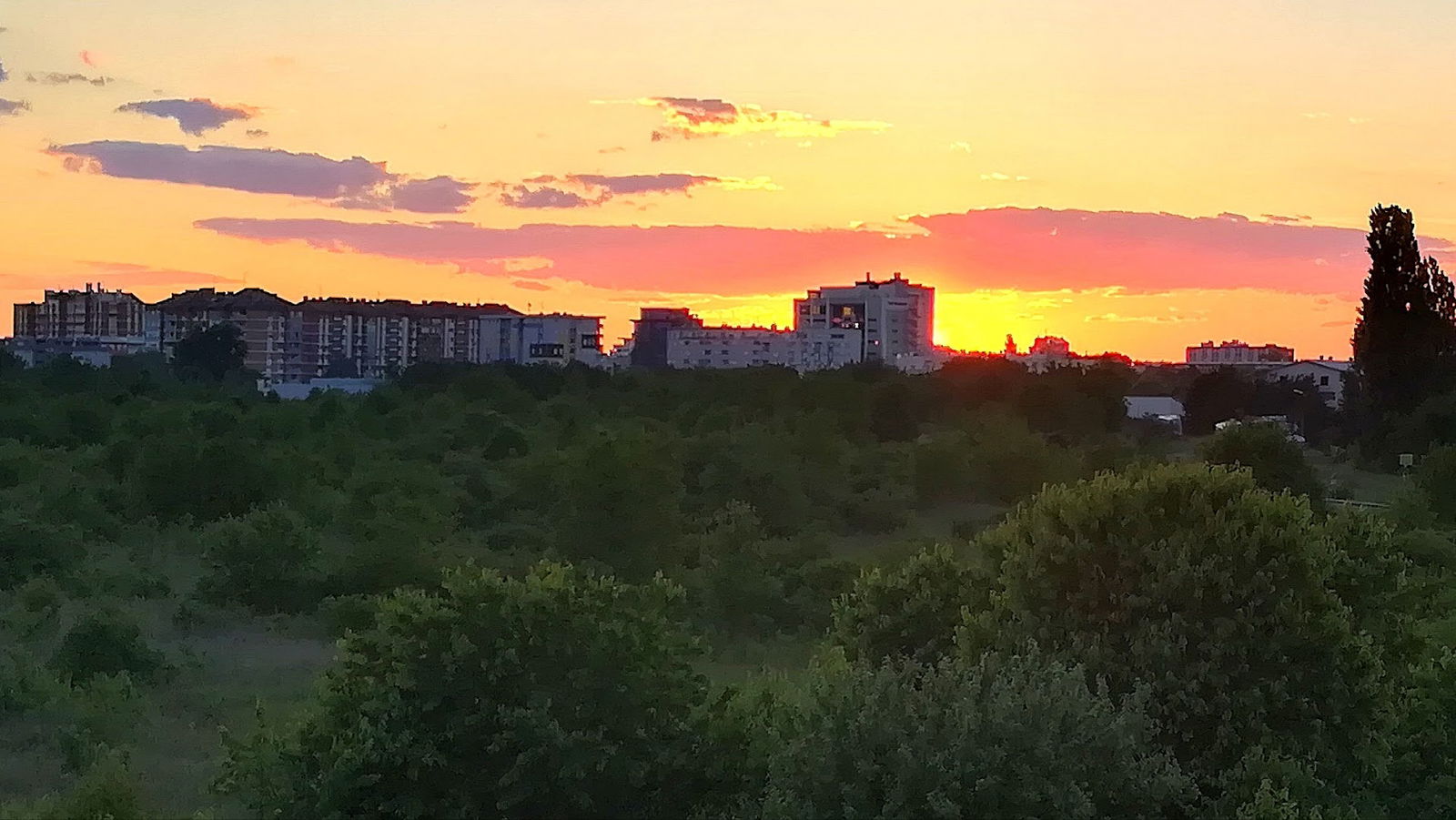 Nadvožnjak Vilka Novaka