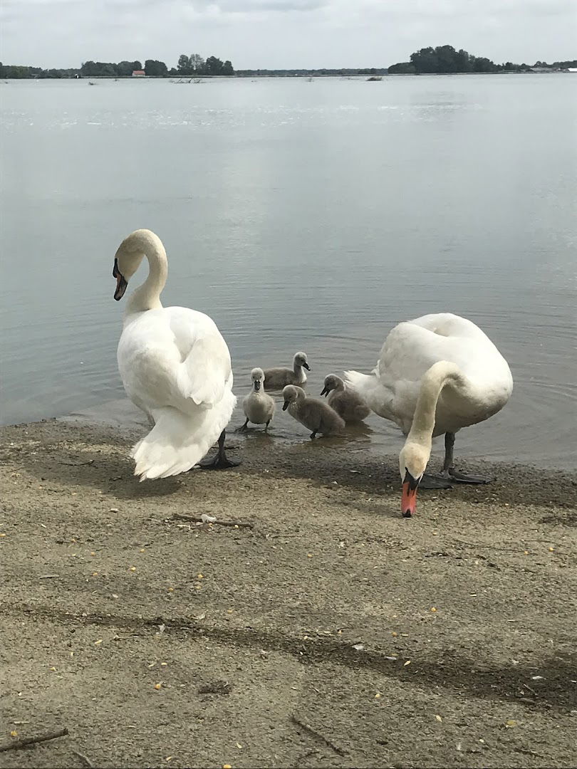 Reciklažno dvorište Varaždin (RD2)