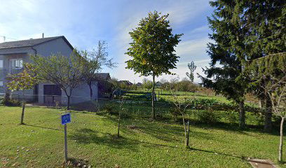 Škola nogometa Lipovljani